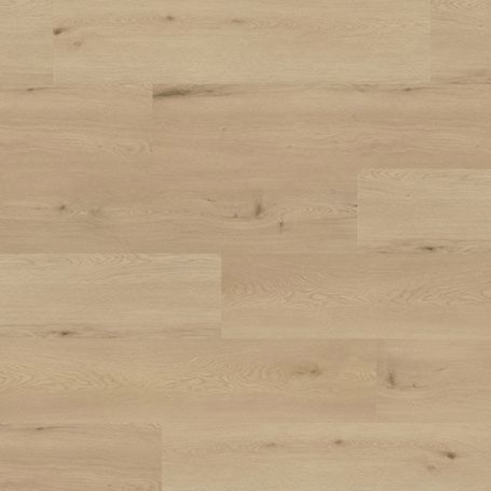 TER HURNE SOLID - ROBLE AMSTERDAM - 2450